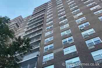 NYC Mum Dies and 5-Month-Old Baby Fights for Life After 15th-Floor Fall as Witness Heard 'Please Don't Do This'