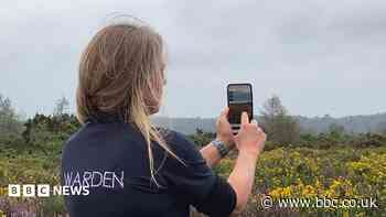 Virtual tour helps access to protected heathland