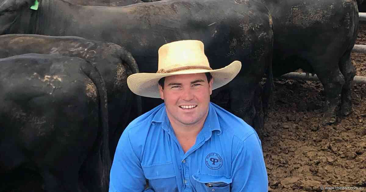 Northern restockers weigh up the economics of trade heifers versus breeders