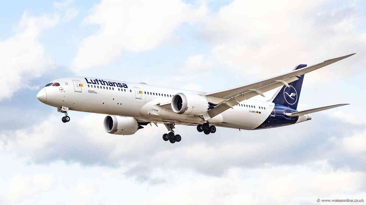 Man 'allegedly tries to open plane door' mid-flight as passengers restrain him