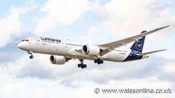 Man 'allegedly tries to open plane door' mid-flight as passengers restrain him