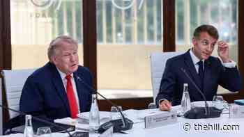 Trump blames French student protests on Islam, 'out of control mass migration'
