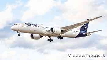 Lufthansa passenger ‘tries to open plane door at 30,000ft’ as crew wrestle him