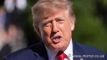 Is Donald Trump fit to be US President? Take our poll and have your say