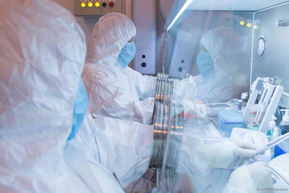 Russia Plague Latest: WHO Addresses Irkutsk Scare as Officials Clarify Quarantine Measures