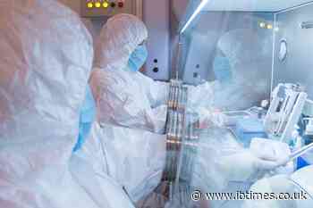 Russia Plague Latest: WHO Addresses Irkutsk Scare as Officials Clarify Quarantine Measures
