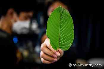 Laramie County Sheriff’s Office Announces Kratom Discussion