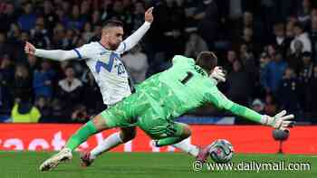 Angus Gunn is not the safe pair of hands Scotland need in goal... but there's no solution in sight for Sebastien Pocognoli