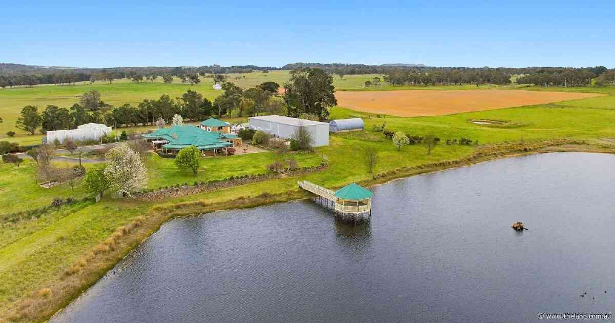Branxton Park a quality grazing operation with major subdivision upside