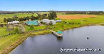 Branxton Park a quality grazing operation with major subdivision upside