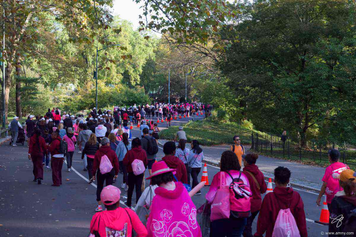 50,000 to rally in Central Park for iconic Making Strides breast cancer awareness walk this month