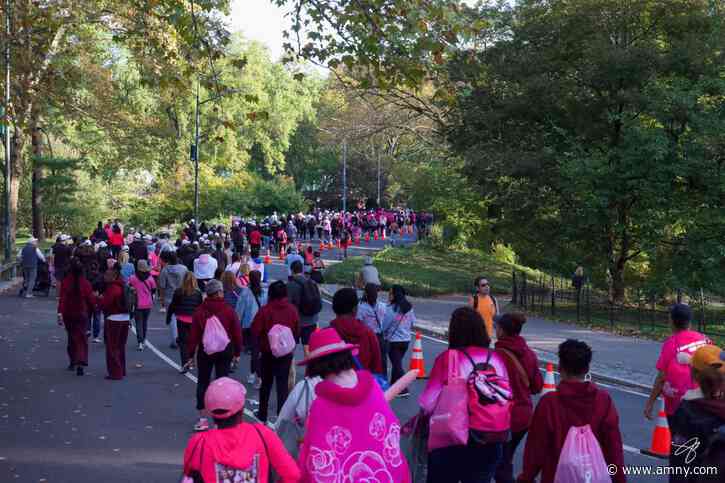 50,000 to rally in Central Park for iconic Making Strides breast cancer awareness walk this month