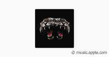 Dead Company - Royal Blood