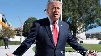 Trump rages at Fox News again as he bashes 'sleazebag' independent challenger in Nebraska: 'Why are they doing this?'