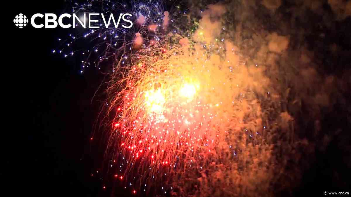 Edmonton Diwali organizers say hosting single fireworks display will help address safety concerns