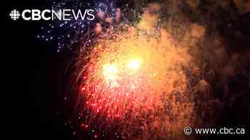 Edmonton Diwali organizers say hosting single fireworks display will help address safety concerns