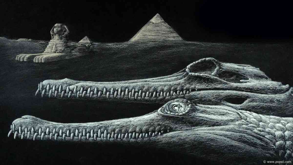 New crocodile species found in rocks of Egypt’s Great Sphinx