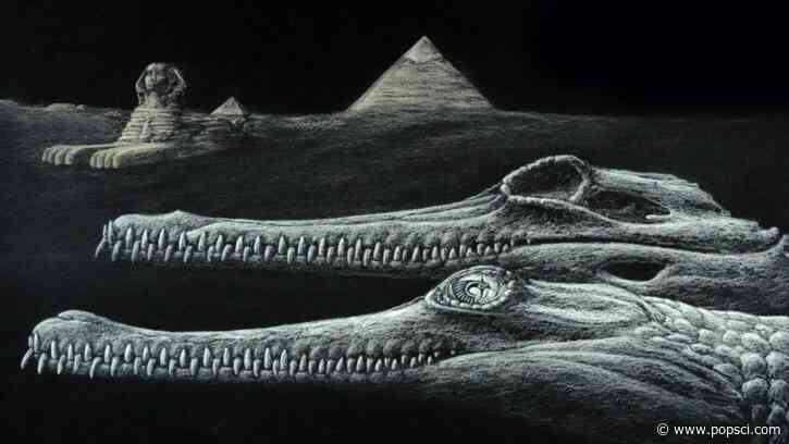 New crocodile species found in rocks of Egypt’s Great Sphinx