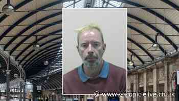Newcastle Central Station flasher exposed himself because he wanted to go back to prison