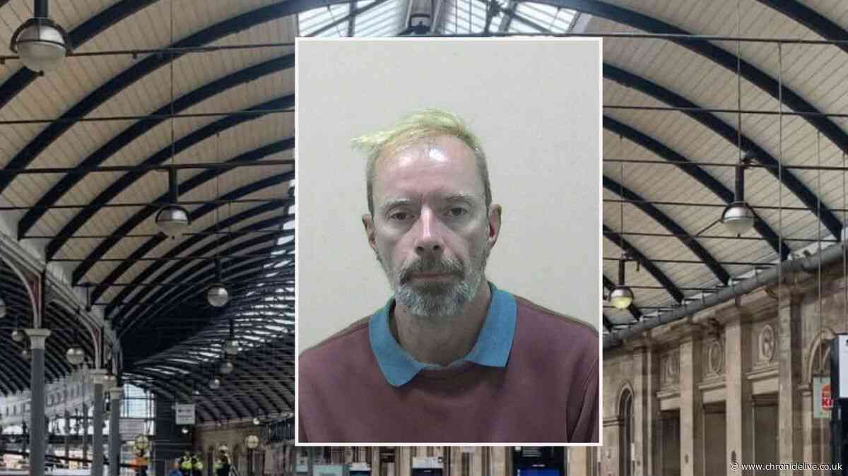 Newcastle Central Station flasher exposed himself because he wanted to go back to prison