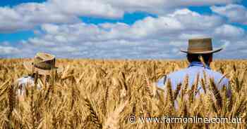 Wheat prices: focus turns to potentially strong southern crop prospects