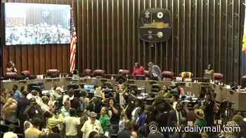 Chaos erupts at Memphis City Hall over Elon Musk's data centers as council vote is abruptly cancelled and members ushered out