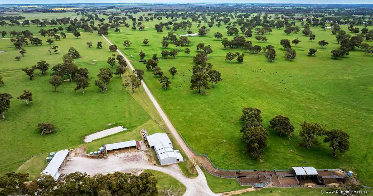What makes this South East grazing farm a fully turnkey sale offer