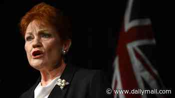 Sydney mosque launches fierce attack on Pauline Hanson over plan to ban burqas in schools: 'Our children should be off-limits'