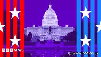 What are the US midterms? A simple guide