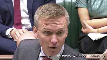 DWP update on state pension as minister says a triple lock 'very much' to remain - key details