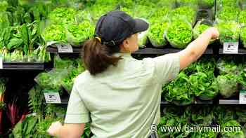 Alarming discovery in supermarkets after toxic pesticides and forever chemicals found in Aussie fruit and vegetables