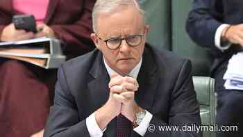 Inside Labor's secret succession talks as fears grow Anthony Albanese is dragging the party 'off a cliff': The factions, numbers and rival powerbrokers positioning for a post-Albo era