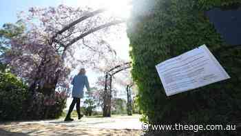 The three-week wisteria bloom that sparked a feud between grieving families and Melbourne influencers