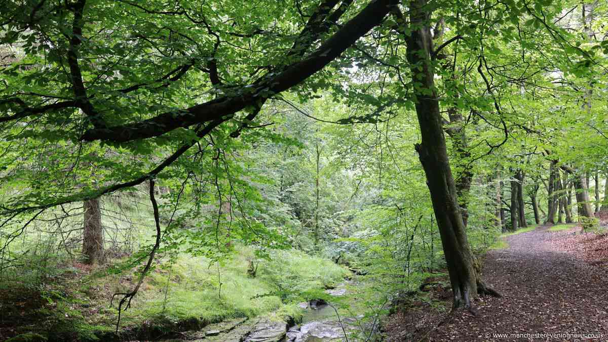 The Lancashire woodland walk 'full of autumn colour' with ruins, waterfalls and village pubs