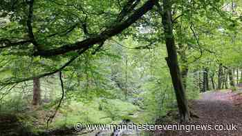 The Lancashire woodland walk 'full of autumn colour' with ruins, waterfalls and village pubs