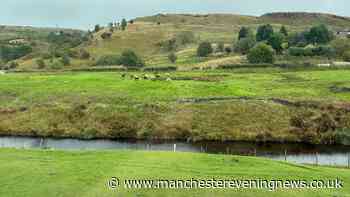 Rochdale's £2.50 bus ride is the best thing to cross the Pennines since Eric Cantona