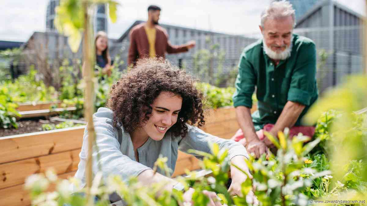 Coventry residents urged to get involved in new community food growing project