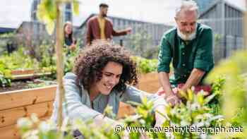 Coventry residents urged to get involved in new community food growing project