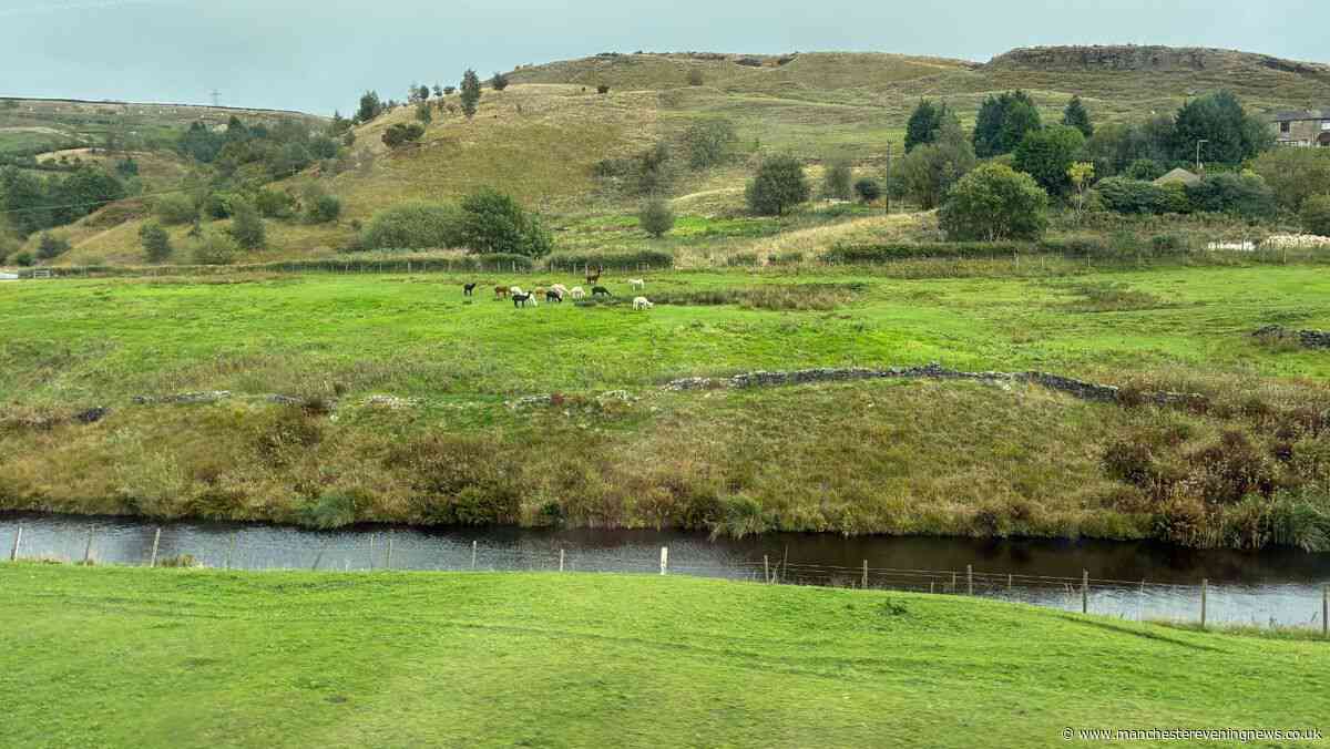 Rochdale's &pound;2.50 bus ride is the best thing to cross the Pennines since Eric Cantona