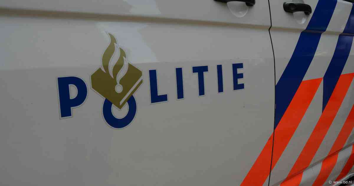 Veiligheidsdag in Best laat zien hoe politie, brandweer en boa’s werken