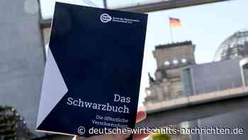 Schwarzbuch 2026/27: Vom Rotlicht-Container zum Tapetenmuseum