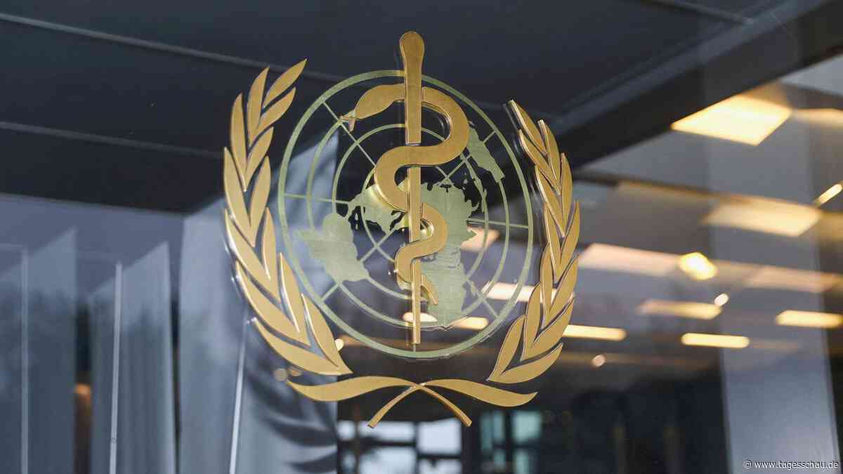 Lungenpest-Verdacht in Russland - WHO und USA fordern Aufklärung