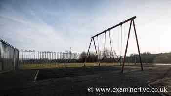 DWP issues update on 'toxic' weedkiller found in UK school playgrounds