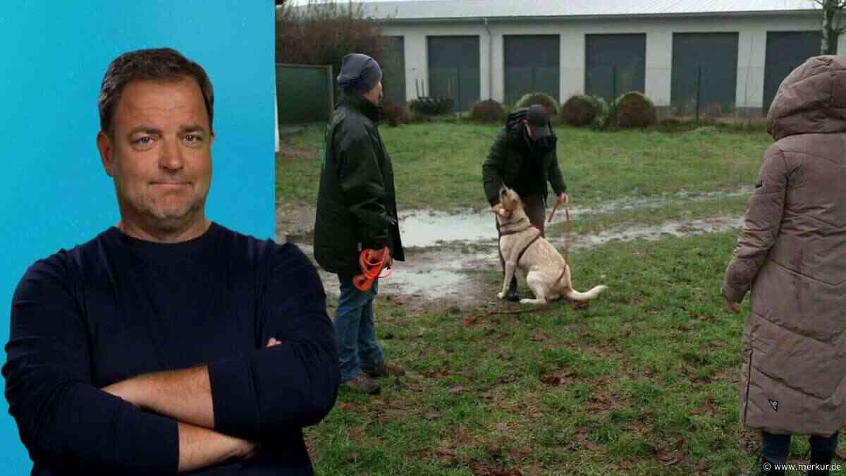 Martin Rütter: Seine Welpenshow steckt im Quotentief