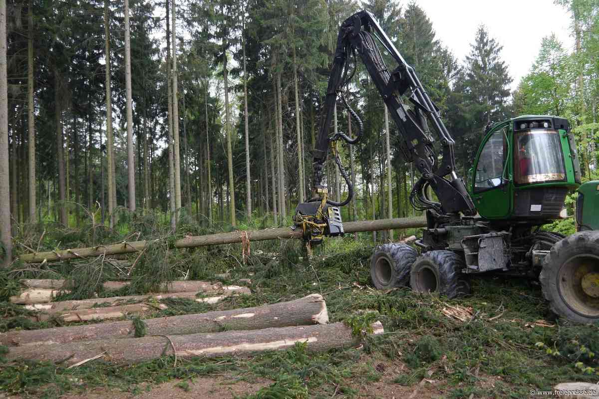 Rossauer Wald und Waldstück „Witze“: Holzernte auf 160 Hektar
