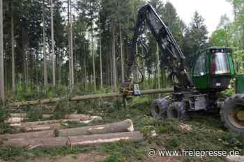 Rossauer Wald und Waldstück „Witze“: Holzernte auf 160 Hektar