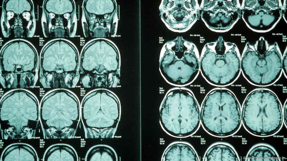Karriere: Diagnostik im Auswahlprozess – worauf Psychologen bei CEOs achten