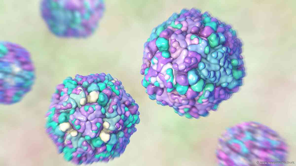 'Potentially lethal' virus detected in 16 European countries - full list