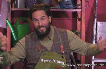 Alles im grünen Bereich! "Promi Big Brother" legt den gesamten Dienstagabend über deutlich zu