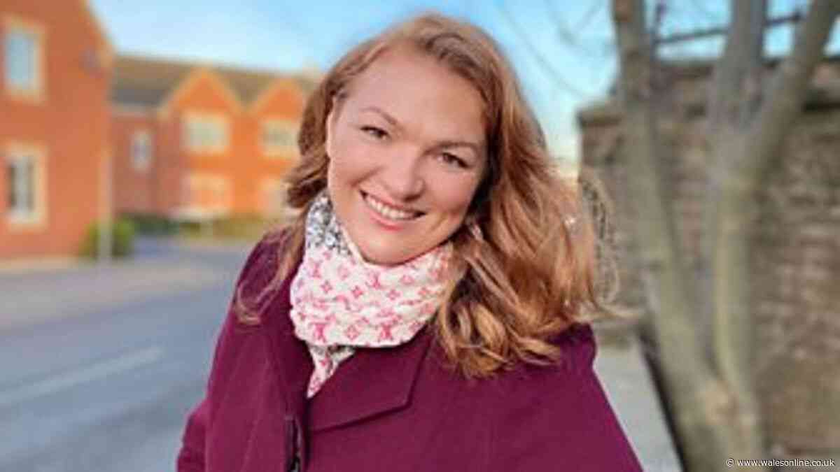 Bargain Hunt star's emotional story behind Welsh painting 'gives chills every time'